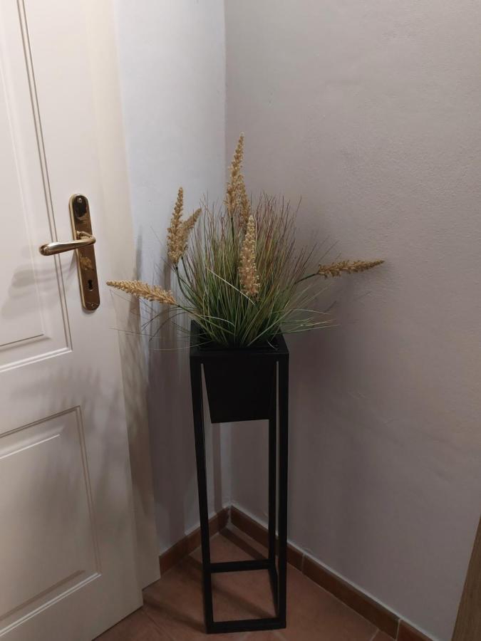 Dodo'S House Hotel Ferrara Kültér fotó